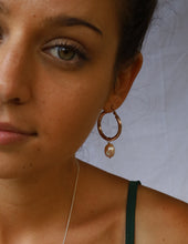 Load image into Gallery viewer, Party Hoops